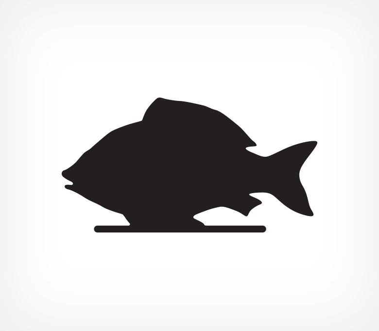 Грифельная (меловая) табличка «Рыба»