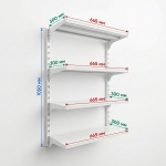 Полки 1000*300 для хранения «МультиФлекс» 1050МФ63Б, белый